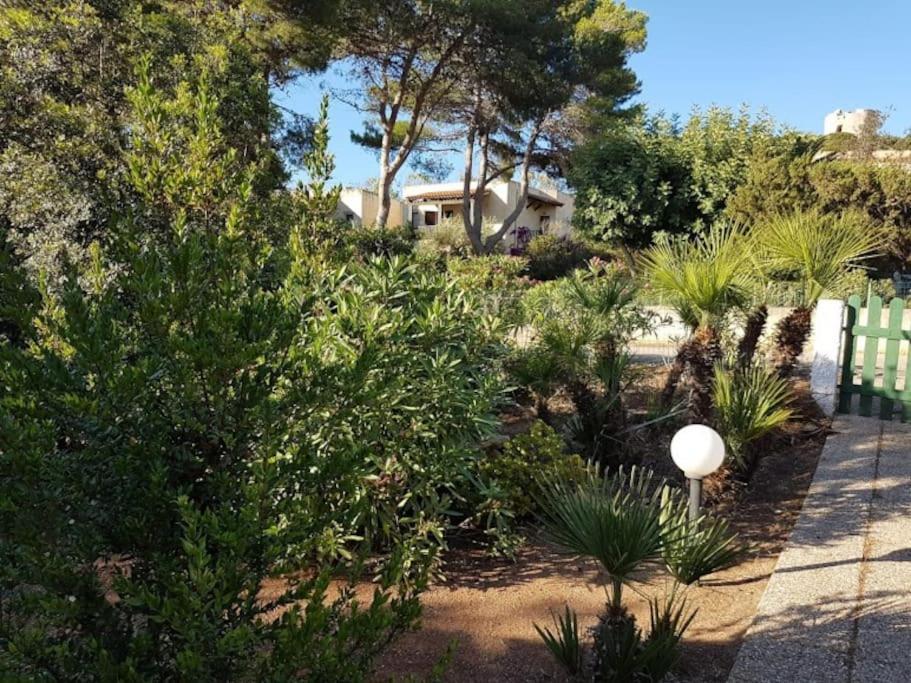 Pischina Salida-Villetta Pavoncelle ألغيرو المظهر الخارجي الصورة